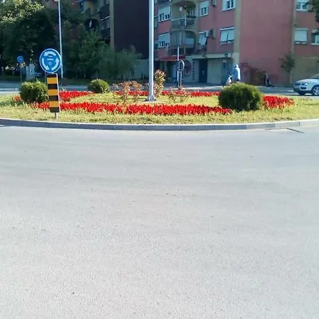 Spasic