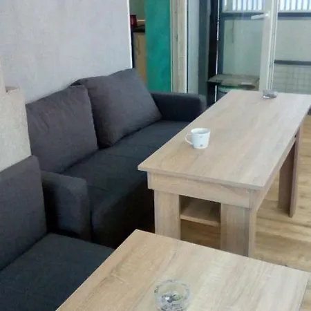 Apartment Spasic *